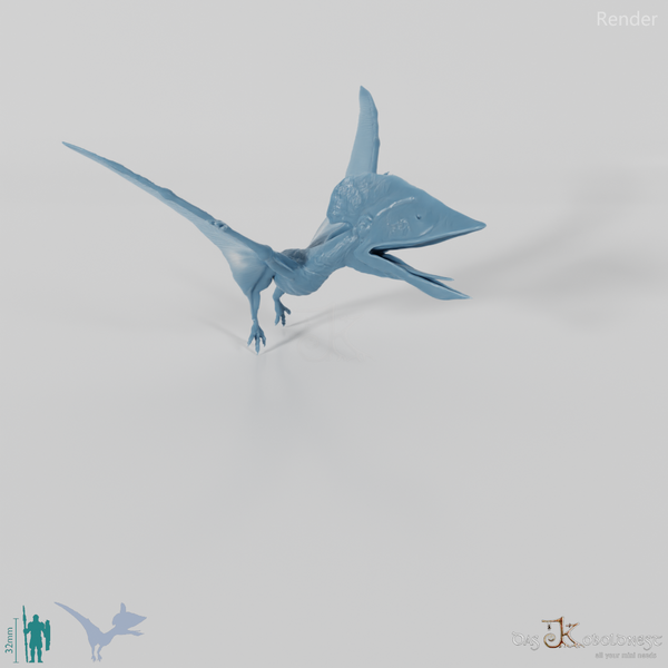 Tupuxuara longicristatus 04 - JJP