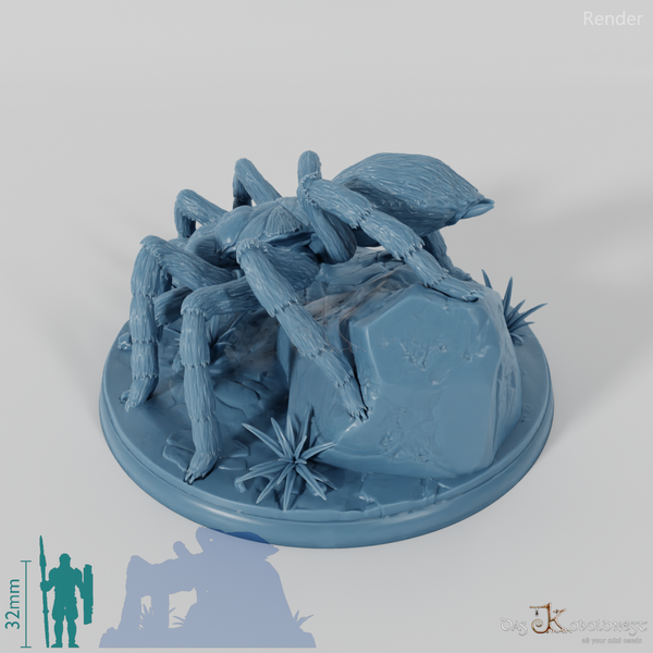 Spinne - Zehnbeinige Riesentarantel 02