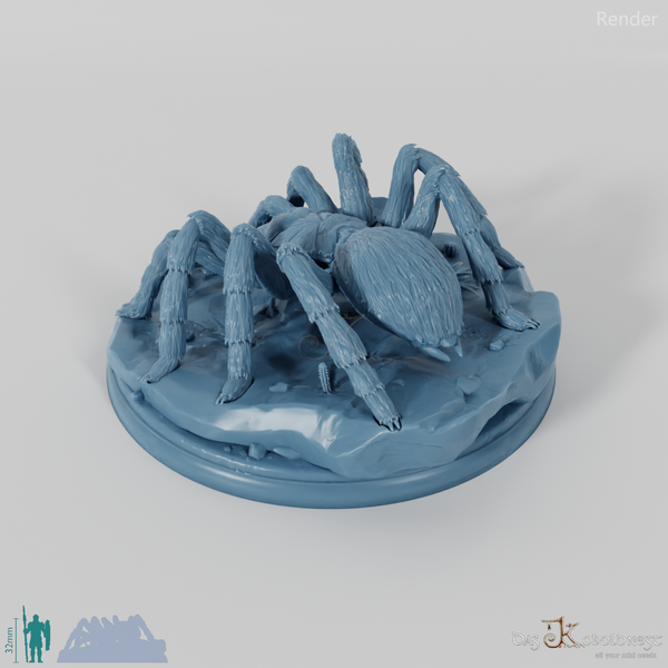 Spinne - Zehnbeinige Riesentarantel 03