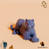 Tiger - Umbra
