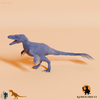 Utahraptor ostrommaysorum 03