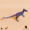 Utahraptor ostrommaysorum 06