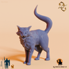 Katze von Lady Sharford