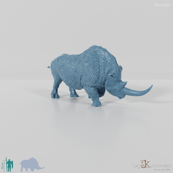 Coelodonta antiquitatis 03 - JJP