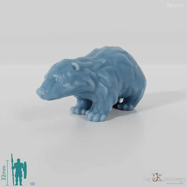 Dachs - Kleiner Jungdachs