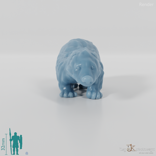 Dachs - Kleiner Jungdachs