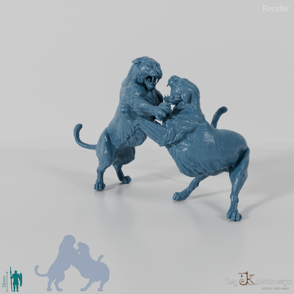 Raubkatze - Königstiger - Kämpfend