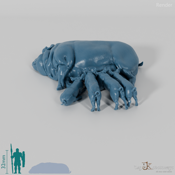 Schwein - Berkshire-Sau 03