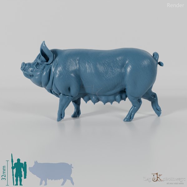 Schwein - Berkshire-Sau 01