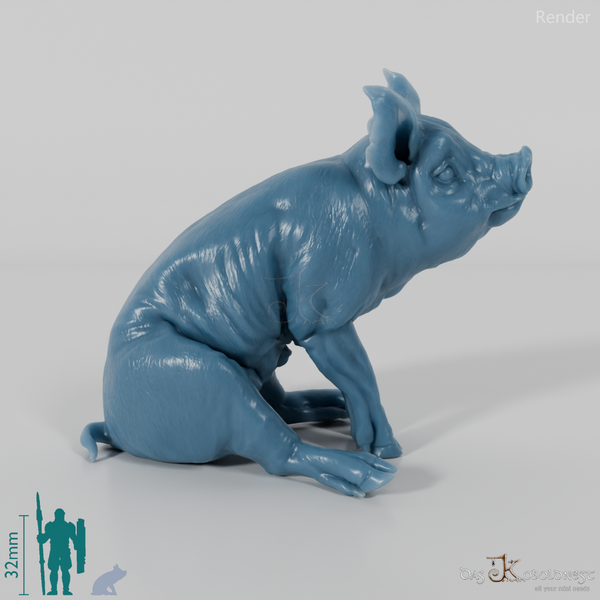 Schwein - Berkshire-Ferkel 03