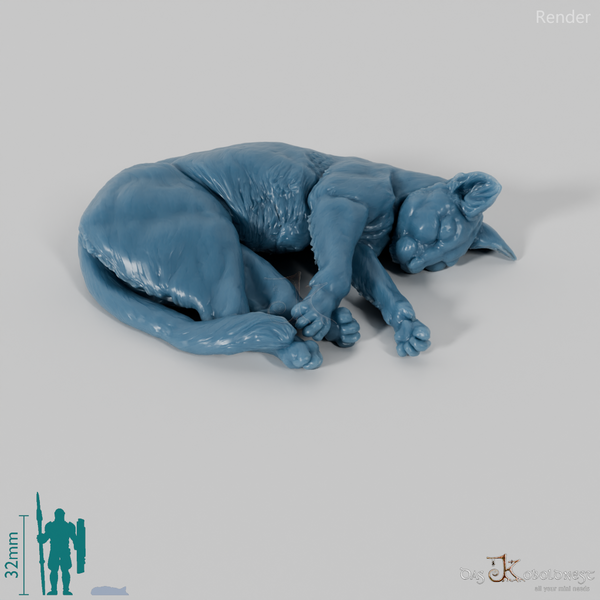 Katze - Hauskatze 05