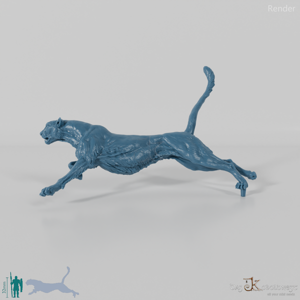 Raubkatze - Gepard 01