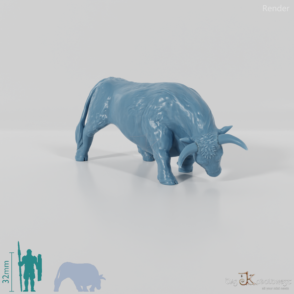 Rind - Angreifender Stier