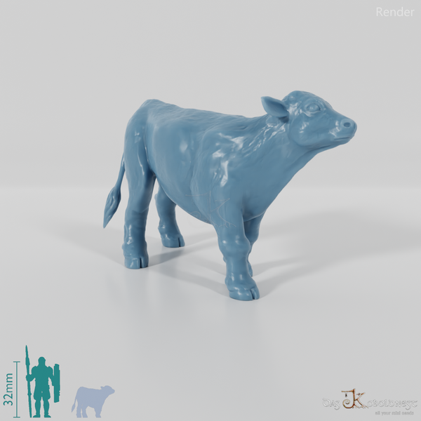 Rind - Neugieriges Kalb