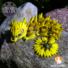 Sonnenblumen-Drachenbaby - Flexi-Drache