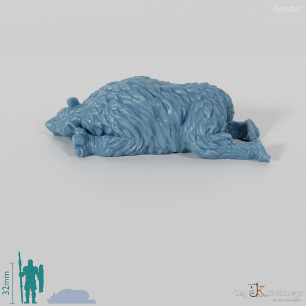 Coelodonta - Totes Wollnashornkalb