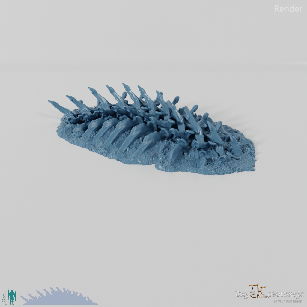 Drachenskelett - Wirbelsäule B