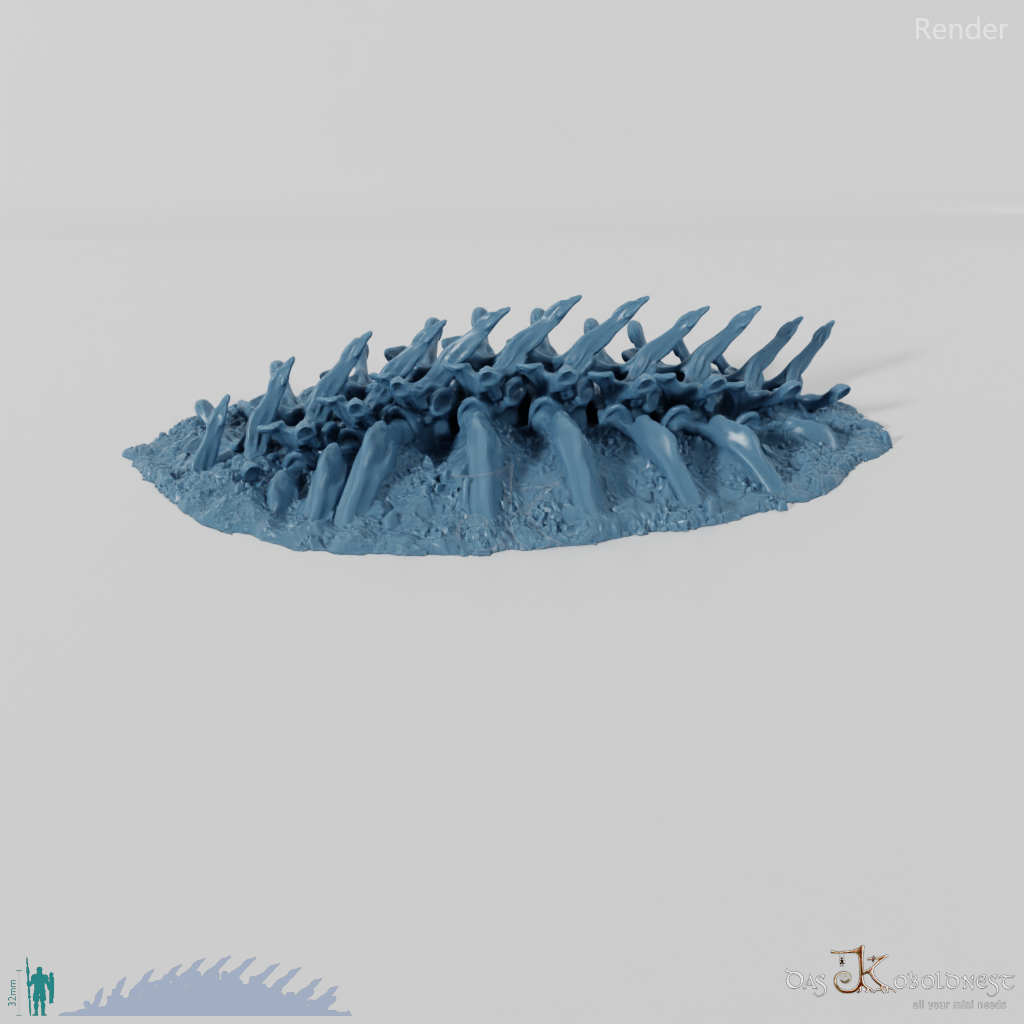 Drachenskelett - Wirbelsäule B