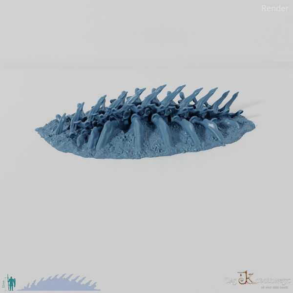 Drachenskelett - Wirbelsäule B