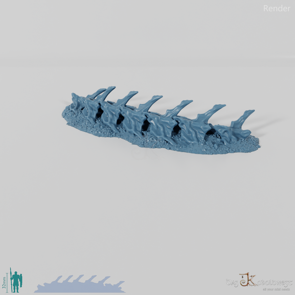Dragon skeleton - cervical vertebrae