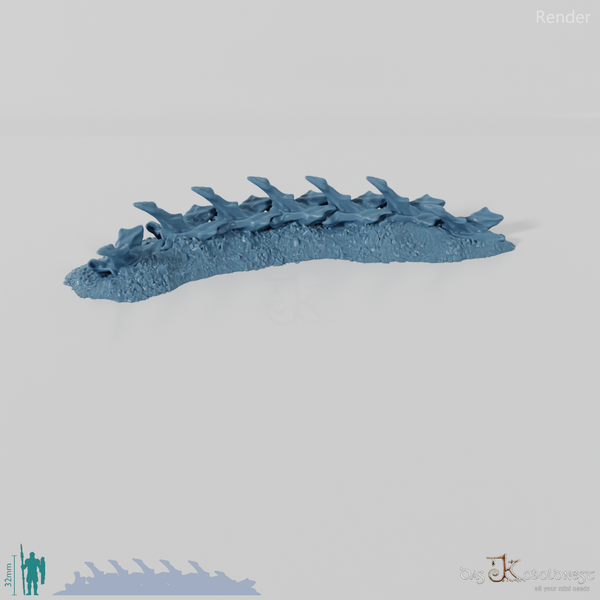 Dragon skeleton - cervical vertebrae
