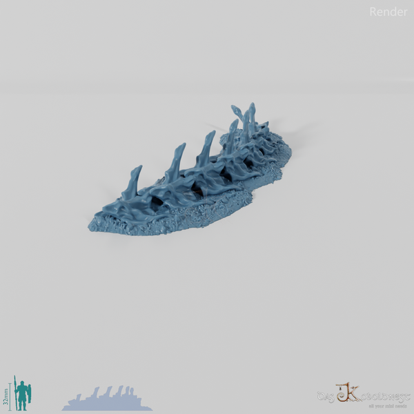 Dragon skeleton - cervical vertebrae