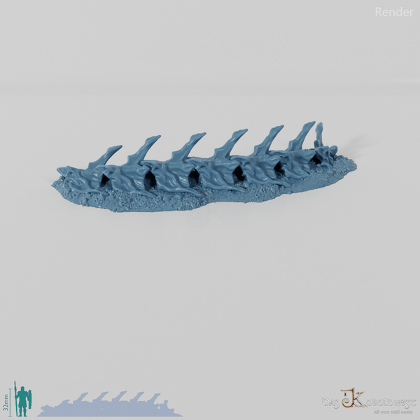 Dragon skeleton - cervical vertebrae