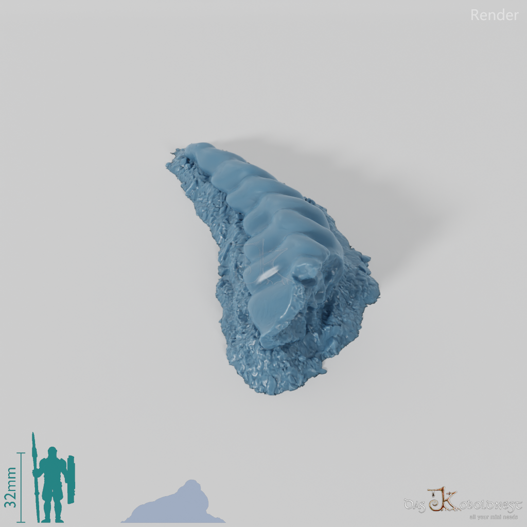 Drachenskelett - Horn