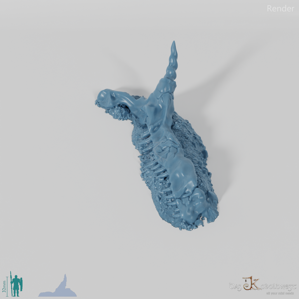 Drachenskelett - Kieferknochen B