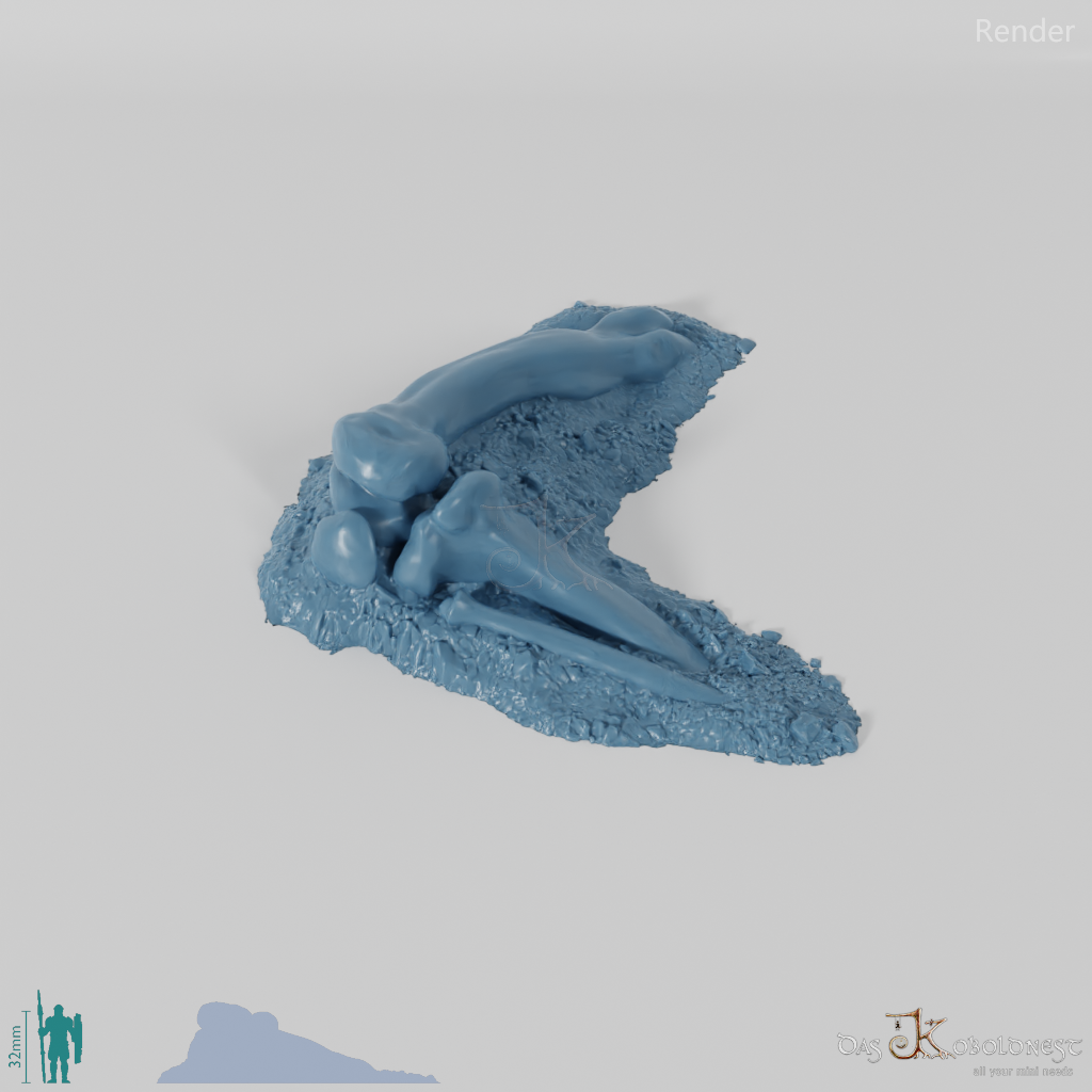 Drachenskelett - Knie