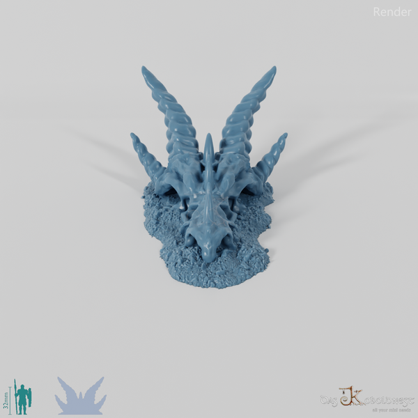 Drachenskelett - Schädel, Klein