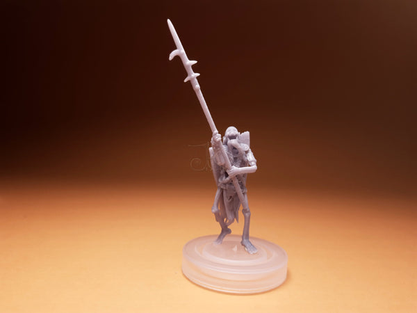 Draugr-Armee (Komplettset)