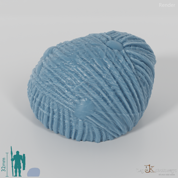 Spider egg cocoon (spider eggs)