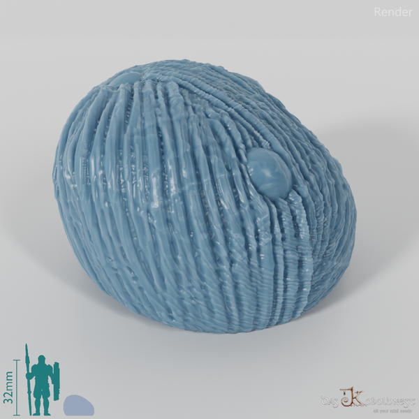 Spider egg cocoon (spider eggs)