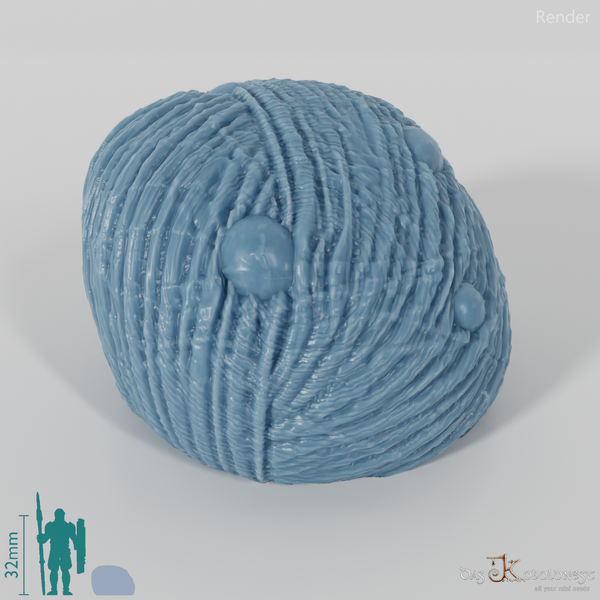Spider egg cocoon (spider eggs)