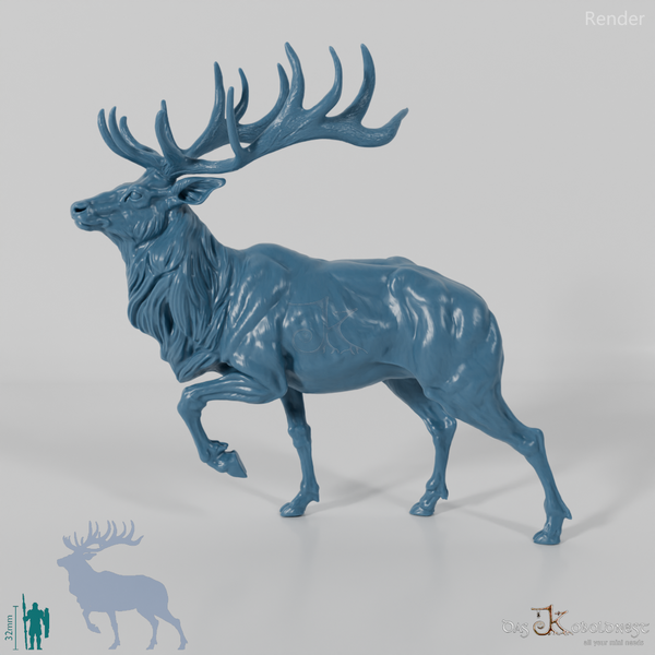 Hirsch - Wapiti 01