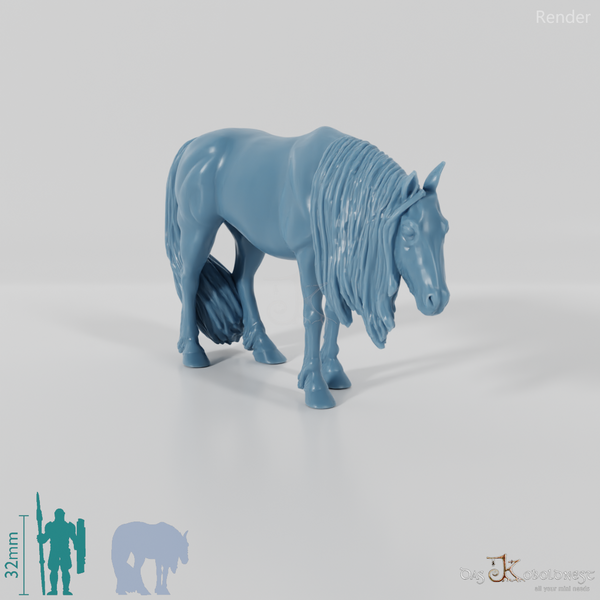Pferd - Ackergaul