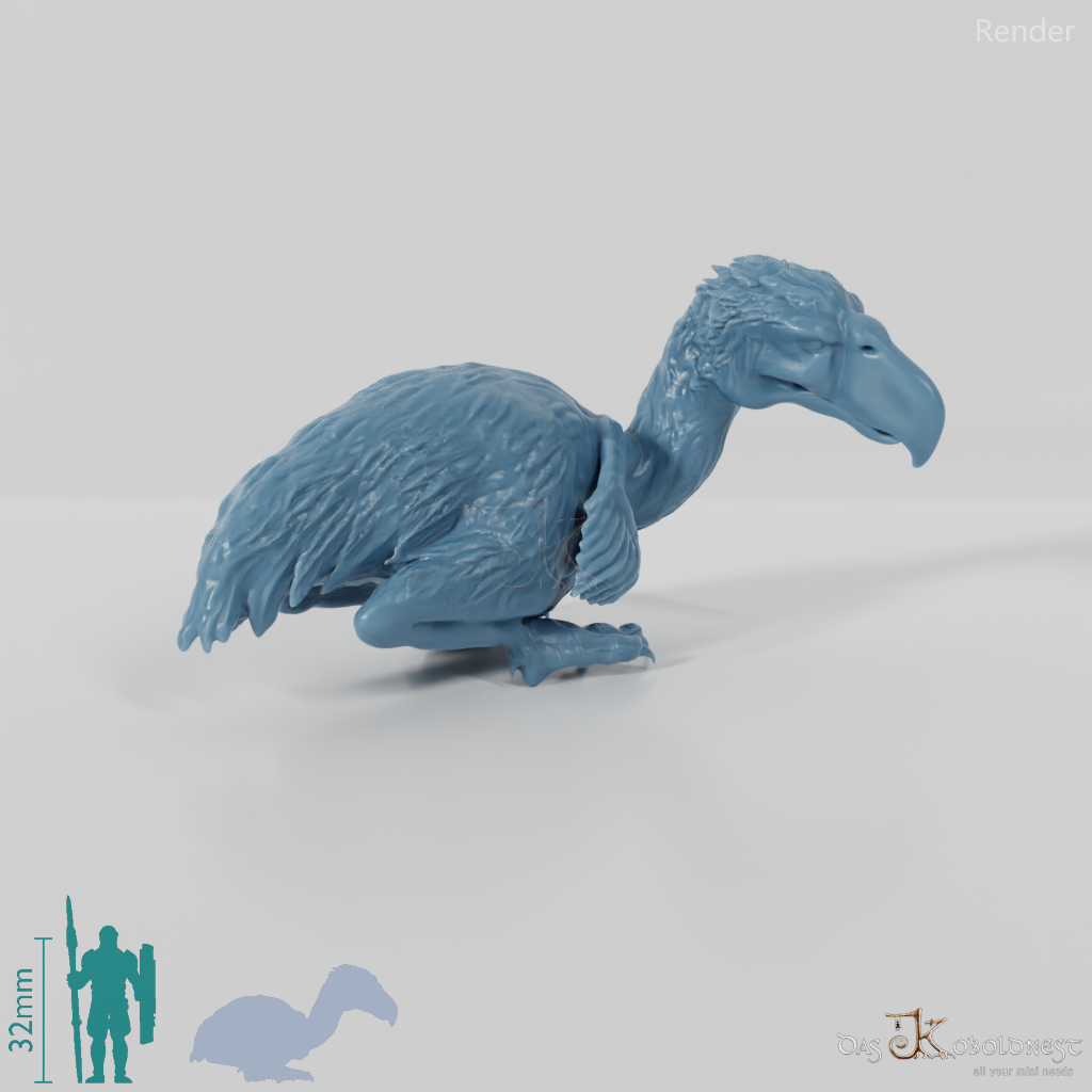 Phorusrhacos longissimus 04 - JJP