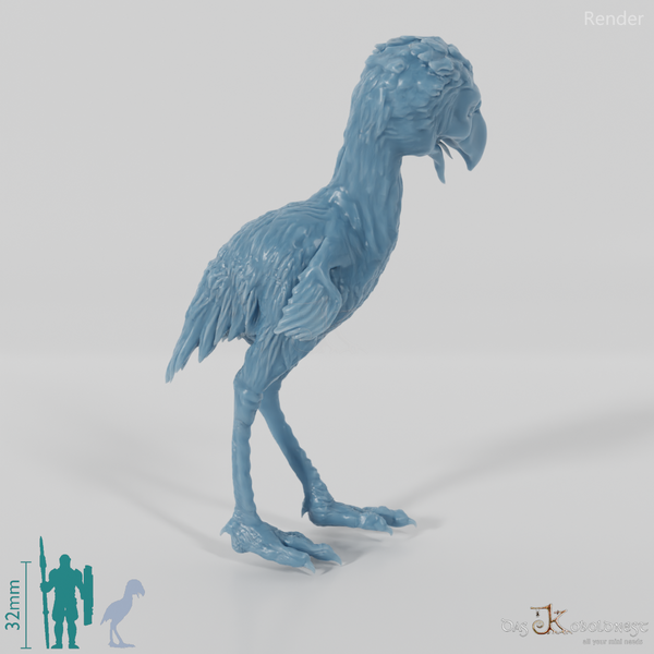 Phorusrhacos longissimus 07 (Jungtier) - JJP