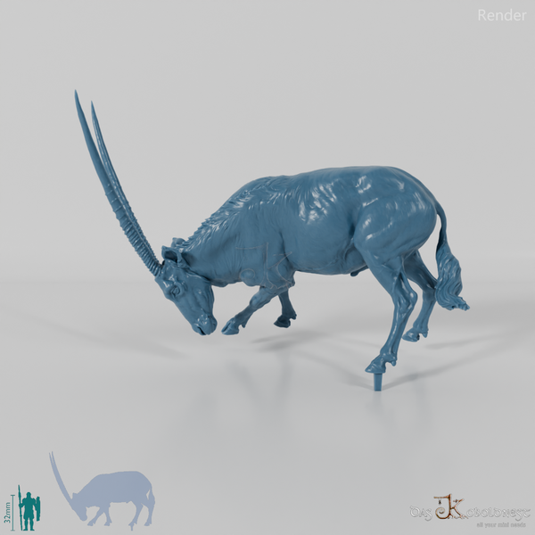 Antilope - Spießbock 03