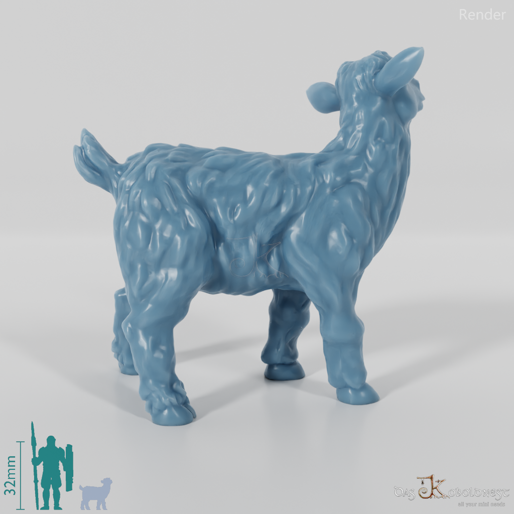 Ziege - Zottiges Zicklein