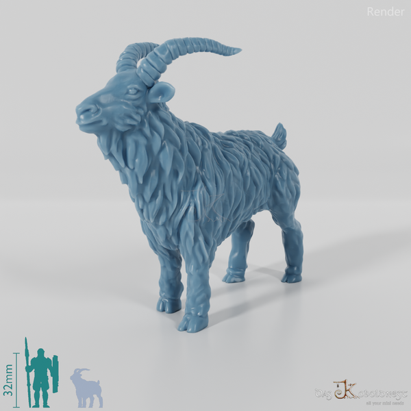 Ziege - Neugieriger Ziegenbock