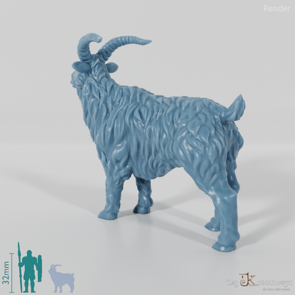 Ziege - Neugieriger Ziegenbock