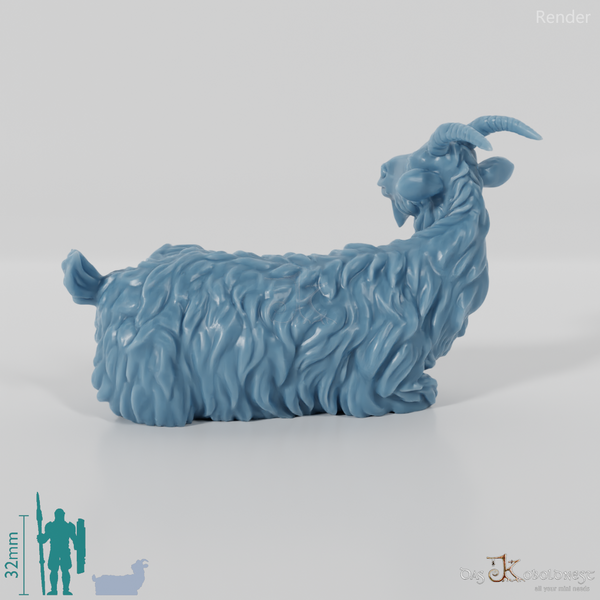 Ziege - Liegende Ziege