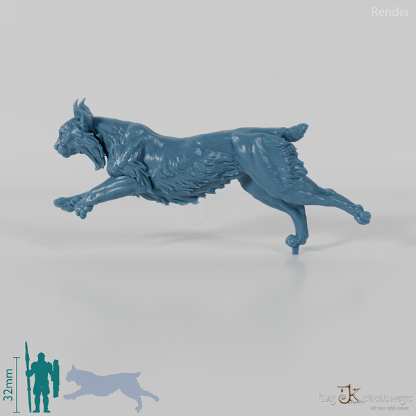 Luchs - Pardelluchs 02