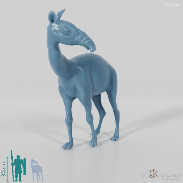 Macrauchenia patachonica 07 (Jungtier) - JJP