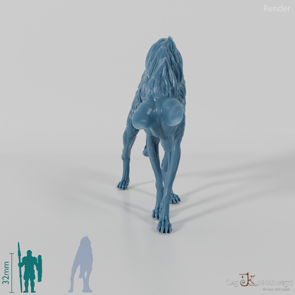 Wildhund - Mähnenwolf 01