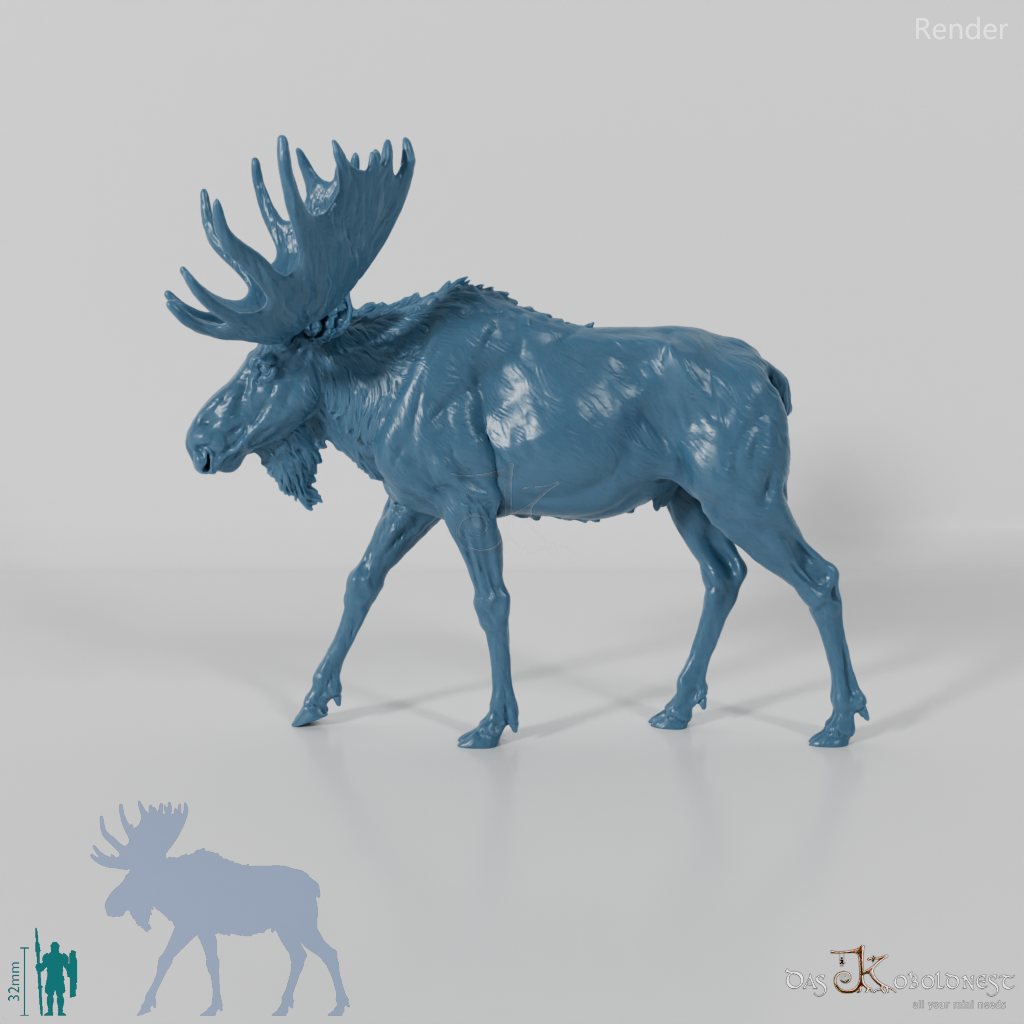 Hirsch - Elch - Bulle 01