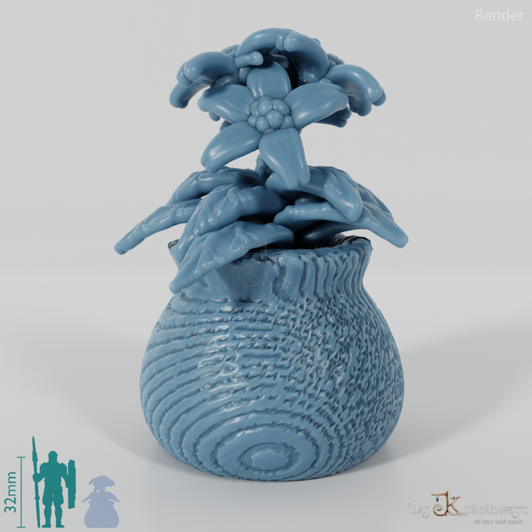 Topfpflanze - Tropische Topfpflanze 03