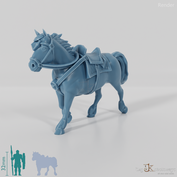 Zwergenpony - Leicht gerüstet